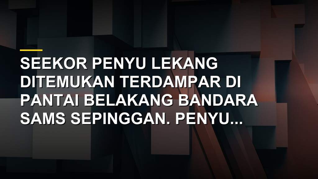 Penyu lekang ditemukan terdampar di pesisir Balikpapan dan berhasil diselamatkan petugas