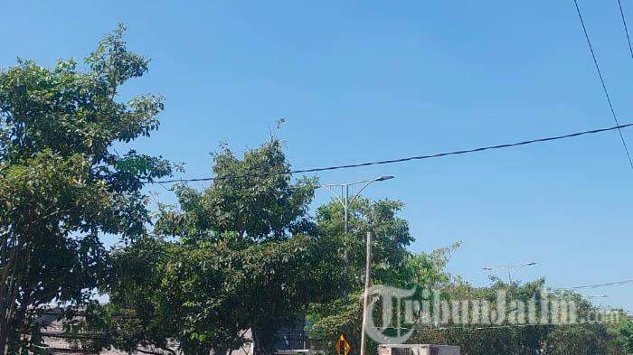 Prakiraan cuaca Jawa Timur dominan cerah dan cerah berawan