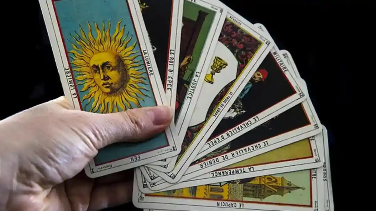 Seekor anjing memilih kartu tarot dalam sesi ramalan hewan peliharaan di Seoul, Korea Selatan