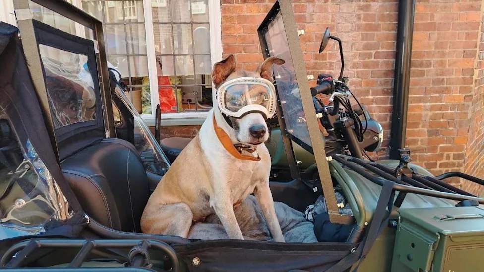 Daniele Longo dan anjingnya Haku dengan kacamata pelindung di sidecar motor meniru Wallace and Gromit