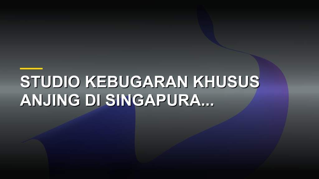 Seekor anjing sedang berlatih di treadmill khusus dalam studio kebugaran anjing di Singapura