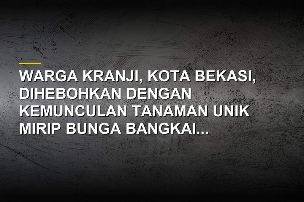Tanaman mirip bunga bangkai di pekarangan warga Kranji Bekasi