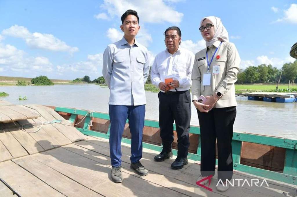 Wapres Gibran meninjau lokasi pembangunan Jembatan Way Bungur di Lampung Timur