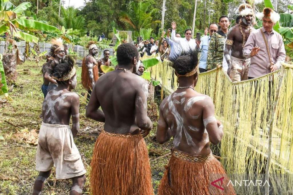 Wapres Gibran Rakabuming meninjau Sekolah Lapang Sagu Asmat dan berinteraksi dengan masyarakat adat Suku Asmat di Papua Selatan