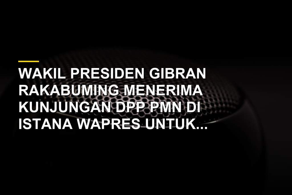Wapres Gibran Rakabuming menerima kunjungan pengurus DPP PMN di Istana Wapres Jakarta