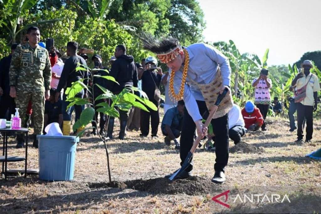 Wakil Presiden Gibran menanam bibit kakao unggulan di Manokwari Selatan