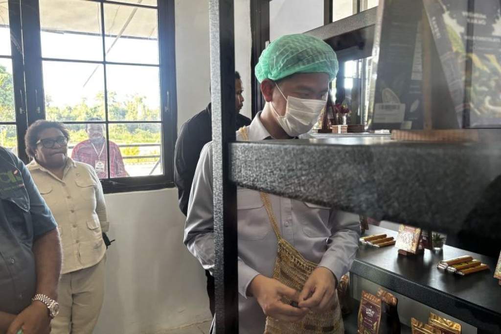 Wapres Gibran Rakabuming Raka meninjau sentra produksi kakao di Manokwari Selatan