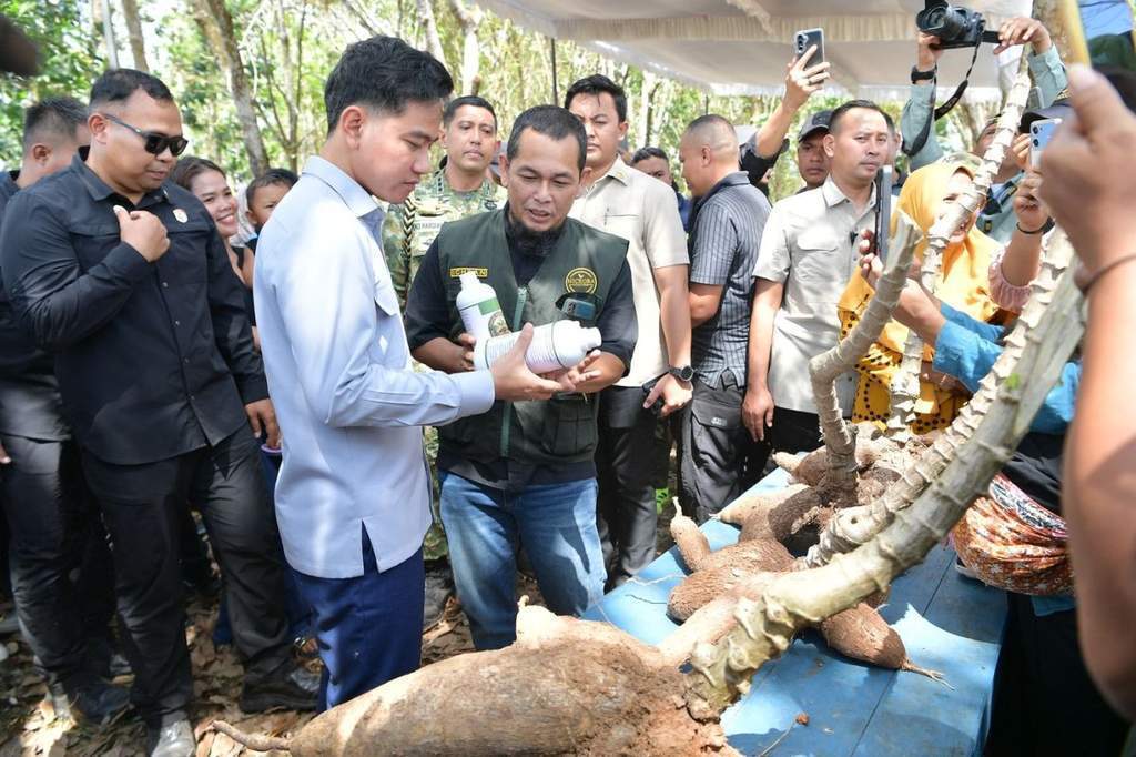Wakil Presiden Gibran Rakabuming Raka menyerap aspirasi petani singkong di Lampung Timur