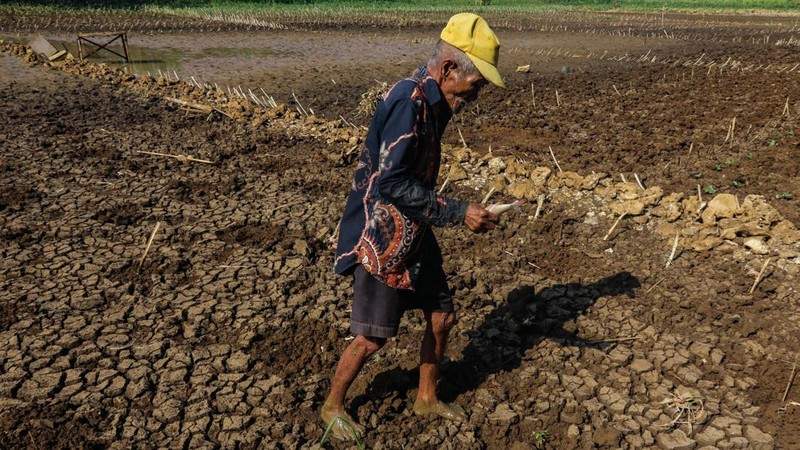 Warga Gunungkidul kesulitan air bersih, terpaksa jual ternak dan kuras tabungan untuk beli air tangki